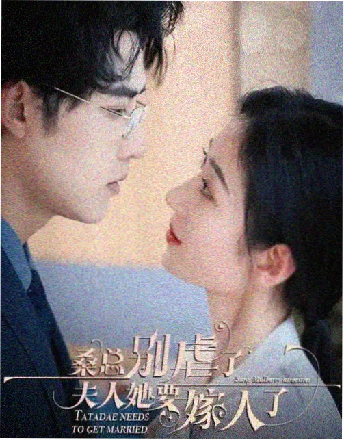 高清剧集 白塔之下 在线观看